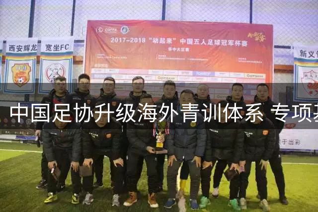 中国足协升级海外青训体系 专项基金破解留洋球员参赛医疗难题