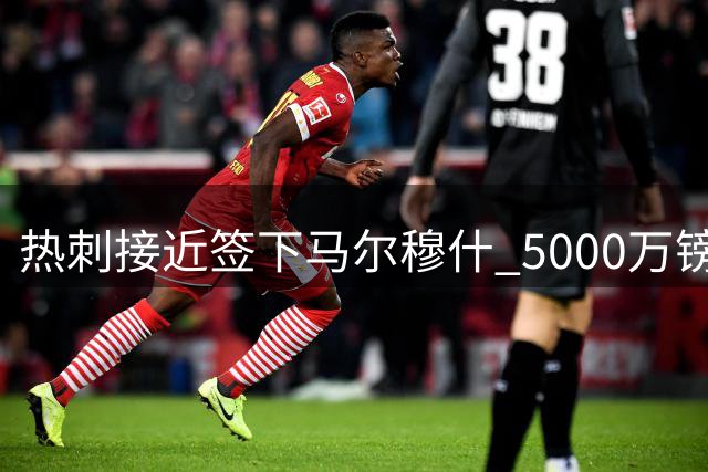 热刺接近签下马尔穆什 5000万镑强制买断条款已谈妥