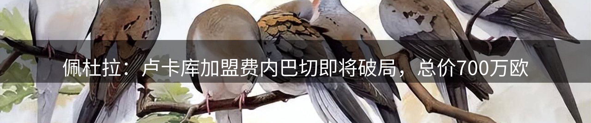 体育资讯
