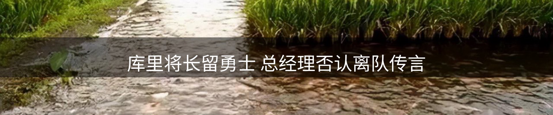 体育资讯