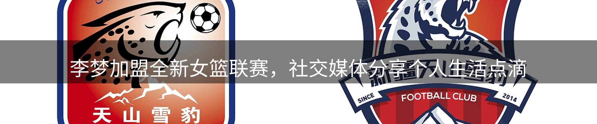 体育资讯