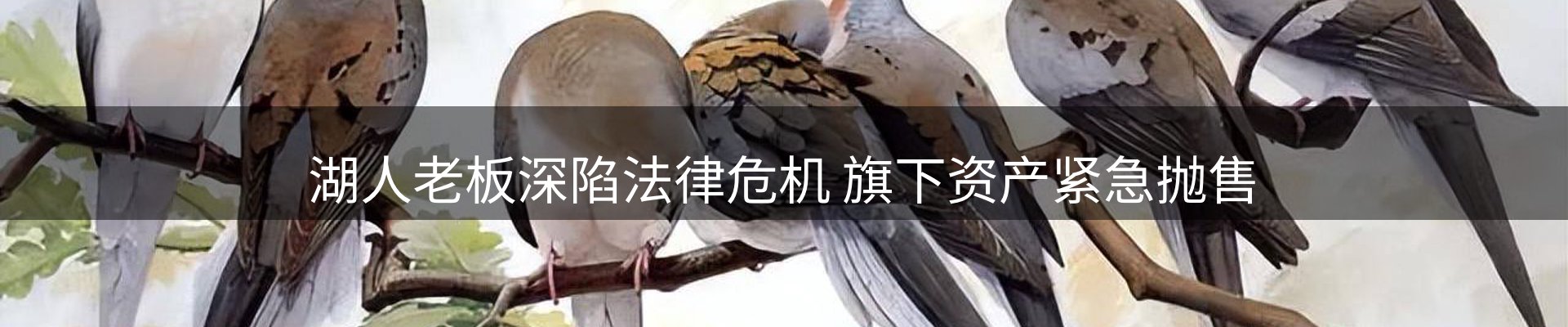 体育资讯