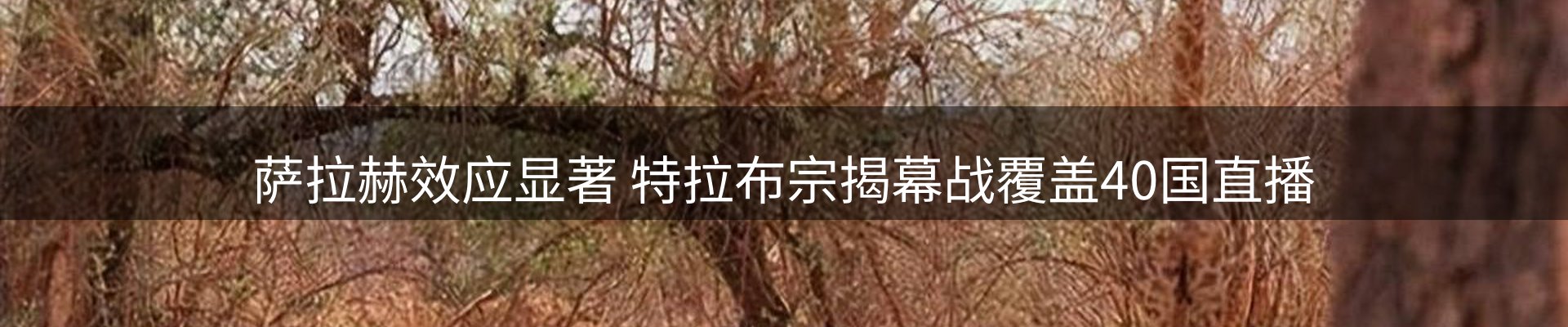 体育资讯